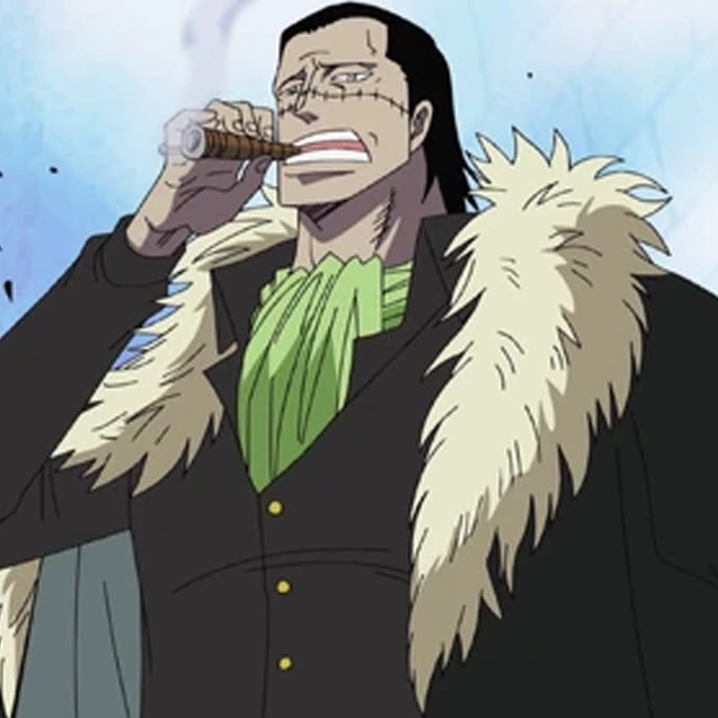 Crocodile One Piece